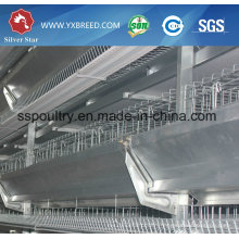 Automatic H Type Chicken Cage Control Shed Equipment